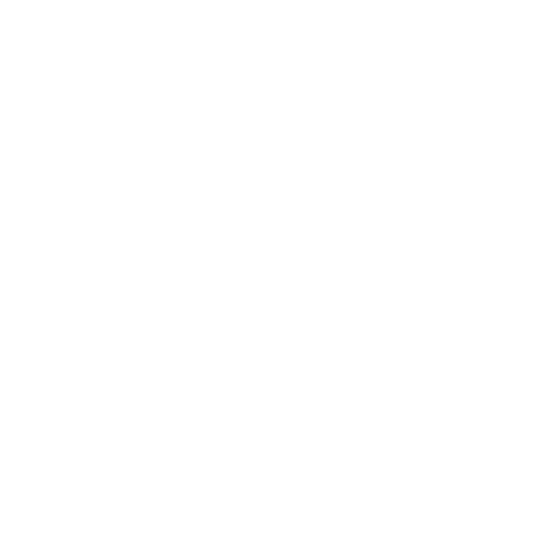 Ergobelt